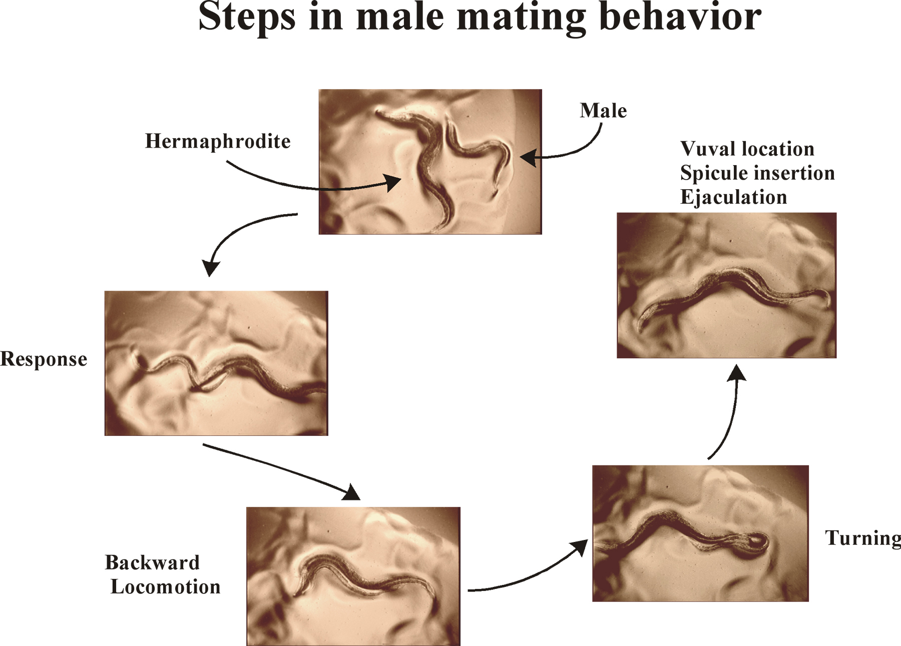 Non Penetrative Sex Positions 51