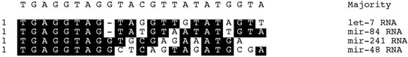  microRNAs figure 4