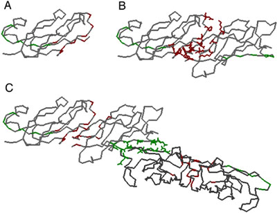Structure of C. elegans MSP